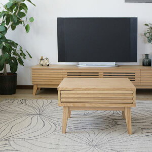 yz[e[u Z^[e[u 60×s50×38cm i` rO _CjO CeAƋ@ lC   i  a v[g Mtg 