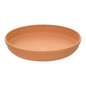 y߁ElCzy3Zbgz b`F Ђ v[g 6 uE|  i