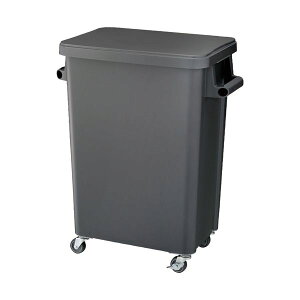 �y�������߁E�l�C�z���X �~�[�p�L���X�^�[�y�[�� �r����t 70L �_�[�N�O���[ GGYK007 1��|���� ���� �i��