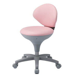 y߁ElCzXc[ WS021-VPI sN ygiz|  i