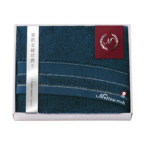 y߁ElCz [b` oX^I lCr[ 60×120cm B1135578|  i