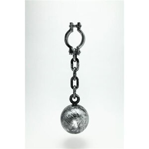 y߁ElCzRXvߑ/p[eB[ObY ygz  CxgObY 䏬ysz|  i