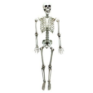 y߁ElCzRXvߑ/p[eB[ObY yg[z  CxgObY 䏬ysz|  i