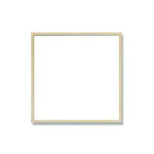 y߁ElCzk pz lׂؐ`z 300p 300×300mm  Ǌ|Ђ OiUVJbgANt 9102|  i