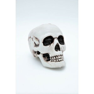 y߁ElCzRXvߑ/p[eB[ObY yWz  CxgObY 䏬ysz|  i