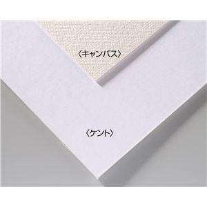 ECO素材 キャンバス 【×30セット】|安い 激安 格安文房具・事務用品