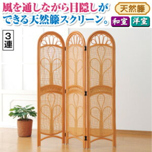 yzp[e[V/՗ VRكXN[[3A] 150cm ؐ()@ lC   i  a v[g Mtg z V zCgf[