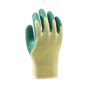 y߁ElCz(܂Ƃ) 쐼H DUNK(_N) L O[ #2504-L 1Zbg(10o) y×3Zbgz|  i