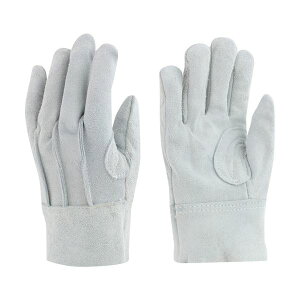 y߁ElCz(܂Ƃ) aR[|[V rjX^[ v wDXt O[ 464 1o y×5Zbgz|  i