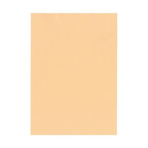 【送料無料】北越コーポレーション 紀州の色上質 A4 Y目 超厚口 びわ 1箱(800枚:100枚×8冊) おすすめ 人気 安い 激安 格安 おしゃれ 誕生日 プレゼント ギフト 引越し 新生活 ホワイトデー