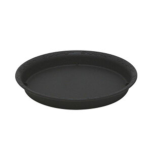 yz(܂Ƃ) b`F mF v[g 25^N _[NO[ 1[×20Zbg]@ lC   i  a v[g Mtg z V