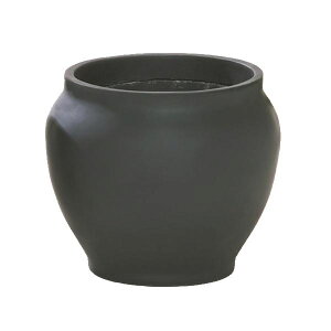 yzavX`bN t@Co[OXV[Y t[|bg T-46 ubN(ꌊȂ)@ lC   i  a v[g Mtg z V zC