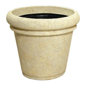 yzavX`bN t@Co[OXV[Y Z|bg 50^ AC{[(ꌊȂ)@ lC   i  a v[g Mtg z V zCg