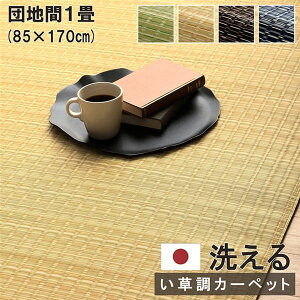 y߁ElCz􂦂 J[ybg O }bg cn1 85×170cm x[W { Y ۃXv[Ή v  tA}bg ~ AEghA ybgysz|  i