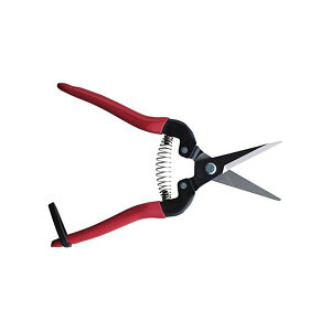 yz(܂Ƃ) AXR[|[V E L300L 1[×3Zbg]@ lC   i  a v[g Mtg z V zCgf[