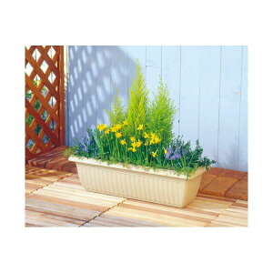 yz(܂Ƃ) ACXI[} [tv^[650EH[x[W(×20Zbg)@ lC   i  a v[g Mtg z V zCgf[