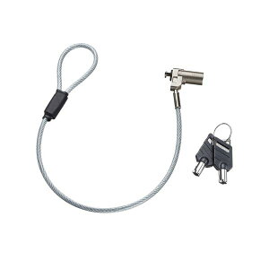 【おすすめ・人気】サンワサプライ 超小型シリンダセキュリティ(eセキュリティ) SLE-45S|安い 激安 格安