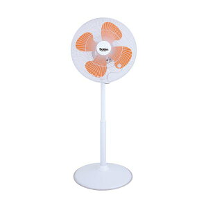 yzXCf H t~St@SF-45VF-1VP2 1@ lC   i  a v[g Mtg z V zCgf[