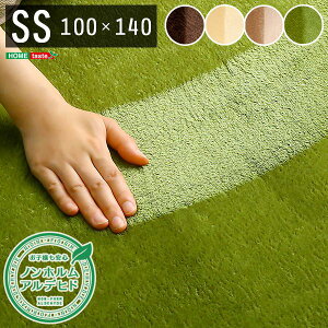 y߁ElCzO }bg O~ SSTCY 100×140cm CG[x[W x tl }CNt@Co[ 􂦂 g[Ή zbgJ[ybgΉ ڒ܃t[ mzAfq