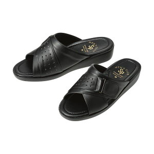 yz(܂Ƃ) R hLT_ ubN MTCYS538-BK-M 1[×2Zbg]@ lC   i  a v[g Mtg z V