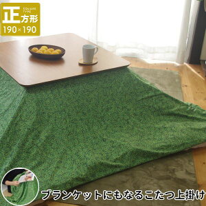 yz| Ȃ߂炩N ` 190×190cm GR O[ OX[ӂƂʔ]@ lC   i  a v[g Mtg z V zCgf[