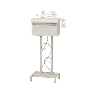 y߁ElCz|Xg 52cm X`[ L[z[t t rt viora [{bNX 2 X֎  GgX  X Vbvysz|  i