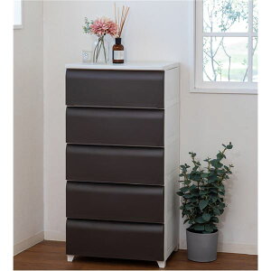 y߁ElCz^X Ch 5i 54cm uE vX`bN rt t |ȒP tbgdl { Y zRɂ `FXg ߗގ[  ߗރP[X ߗ