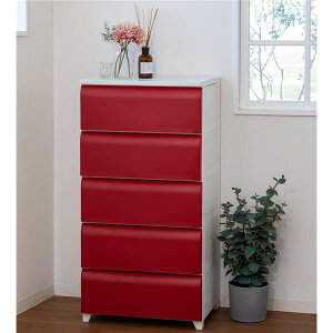 y߁ElCz^X Ch 5i 54cm bh vX`bN rt t |ȒP tbgdl { Y zRɂ `FXg ߗގ[  ߗރP[X ߗރ{