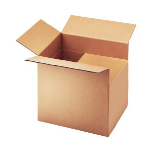 yz(܂Ƃ) TANOSEE n_{[ B4(S) TCY ^Cv 1pbN(10) [×5Zbg]@ lC   i  a v[g Mtg z V zC