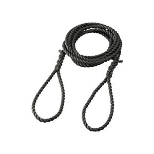 yz(܂Ƃ) TRUSCO t|vs[v 12mm×5m TPP-125 1{[×5Zbg]@ lC   i  a v[g Mtg z V zCgf[