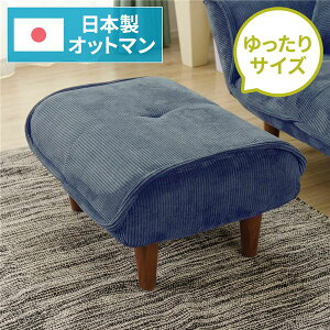 y߁ElCz{ Vv Ibg}/Xc[ yR[en lCr[z rFuE 59cm TCY Y \t@ \t@[  |PbgRC k rO