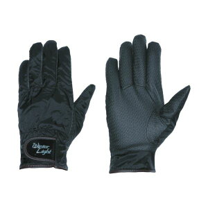 yzyMG[XWp Pp^[WINTER W-5 M W-5-M 1o@ lC   i  a v[g Mtg z V zCgf[