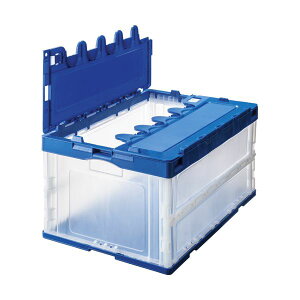 yz܂肽݃Rei ӂt 75L u[×[×10Zbg]@ lC   i  a v[g Mtg z V zCgf[