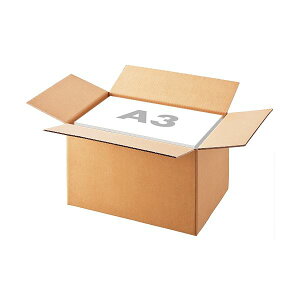 yz(܂Ƃ) TANOSEE n_{[ A3(L) TCY 295mm 1pbN(10) [×5Zbg]@ lC   i  a v[g Mtg z V zCgf[