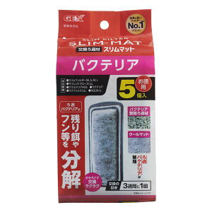 y߁ElCz(܂Ƃ) GEX oNeAX}bg 5 y×2Zbgz (ybgpi)|  i