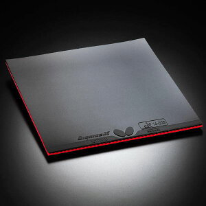 y߁ElCzo^tCiButterflyj o[ DIGNICS 05ifBOjNX 05j 06040 ubN Aij|  i