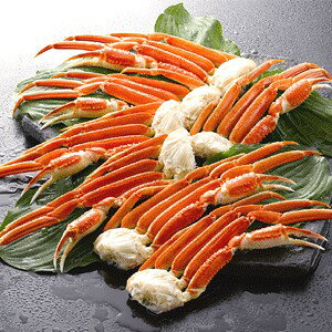 yz[g蔲QAiI] {C킢ɋr1.6kg(6`8)@ lC   i  a v[g Mtg z V zCgf[