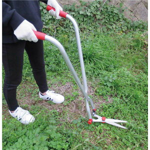 yzŐEG荞݃oT~Zbg@ lC   i  a v[g Mtg z V zCgf[