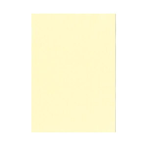 yzkzR[|[V IB̐F㎿A4T   1(4000:500×8)@ lC   i  a v[g Mtg z V zCgf[