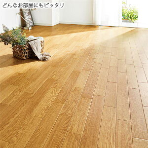 畳 カーペット カビ 床材の人気商品 通販 価格比較 価格 Com