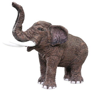 y߁ElCz(܂Ƃ߁jfOCg L 200gy×10Zbgz|  i