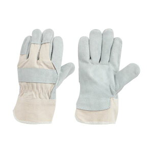 y߁ElCz(܂Ƃ) aR[|[V v K-100(zv) O[ 456 1o y×5Zbgz|  i