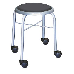 yzX^bLO`FA/ۈ֎q[F4rZbg ubN×Vo[] 32cm { X`[pCv@ lC   i  a v[g Mtg z V 