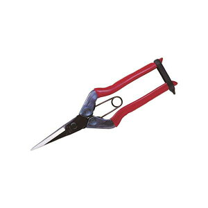 yz(܂Ƃ) ߐ(`J}T)  T-550 1[×3Zbg]@ lC   i  a v[g Mtg z V zCgf[