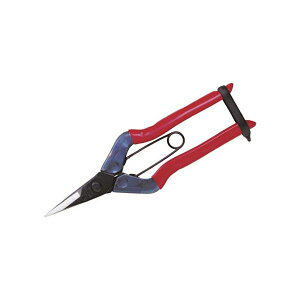 yz(܂Ƃ) ߐ(`J}T) E T-500 1[×5Zbg]@ lC   i  a v[g Mtg z V zCgf[