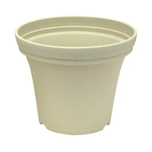 yz(܂Ƃ) b`F mF |bg 30^N AC{[ 1[×10Zbg]@ lC   i  a v[g Mtg z V