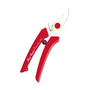 y߁ElCz(܂Ƃ) ⌹ nT~ nhNG[V P-180  145 1 y×3Zbgz|  i