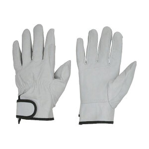 y߁ElCzaR[|[V \v W[^ M zCg 475-M 1o|  i