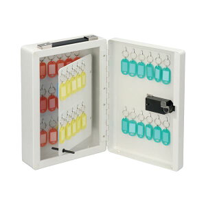 yz(܂Ƃ) _CL[{bNX 50e[×3Zbg]@ lC   i  a v[g Mtg z V zCgf[