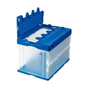 yzTANOSEE ܂肽݃Rei t^t 60L _[Nu[/ 1@ lC   i  a v[g Mtg z V